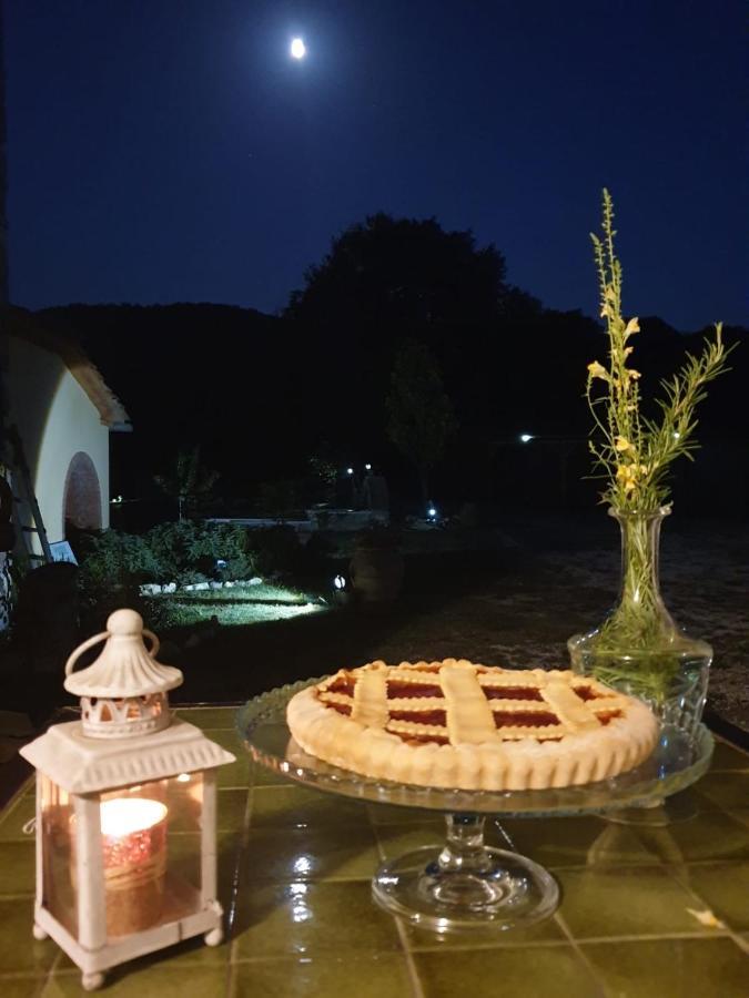 Podere Il Sasso 바르베리노 디 무겔로 외부 사진