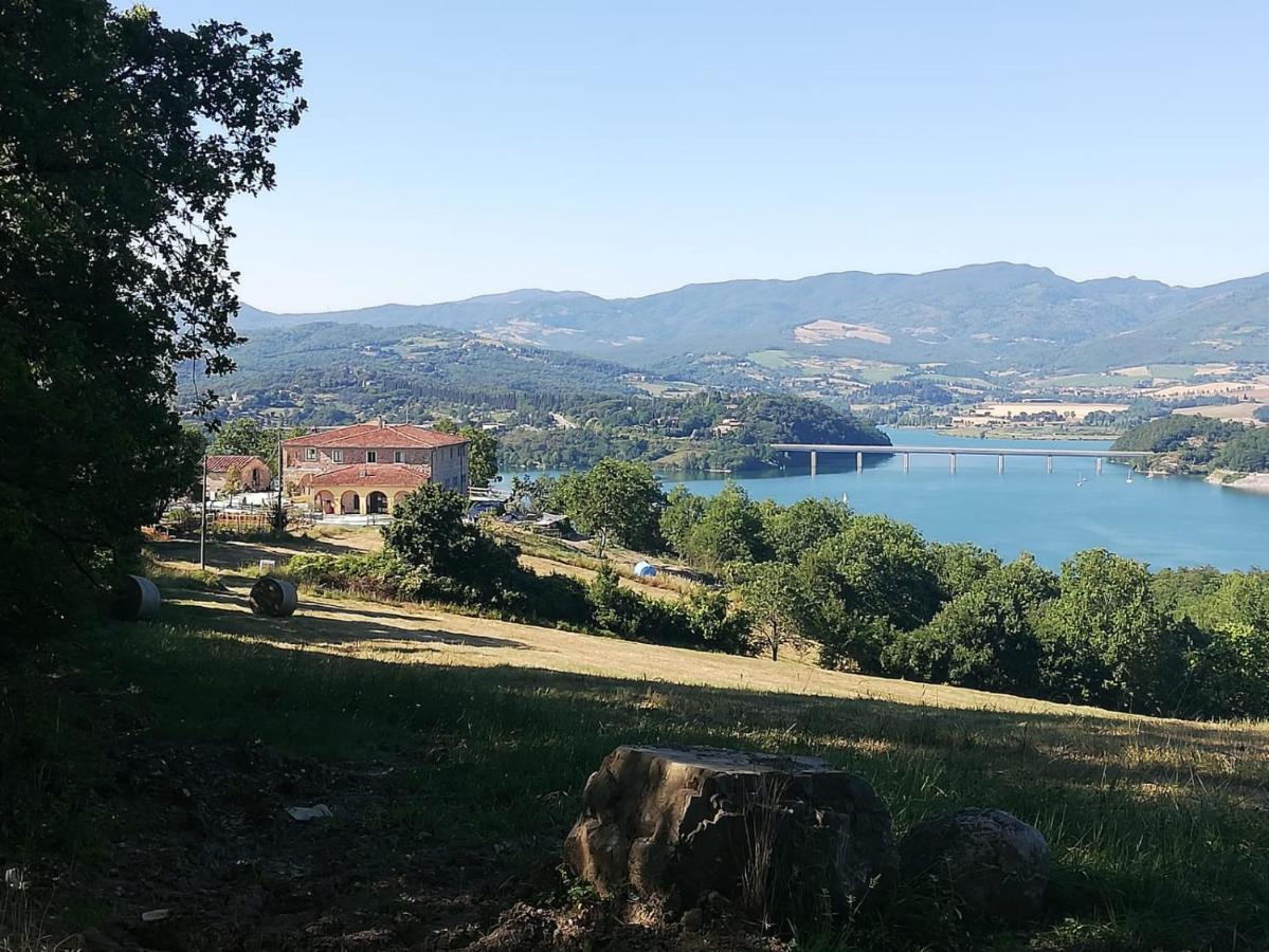 Podere Il Sasso 바르베리노 디 무겔로 외부 사진
