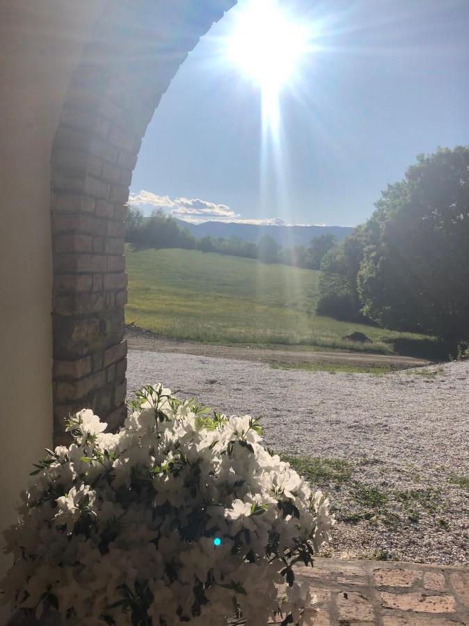 Podere Il Sasso 바르베리노 디 무겔로 외부 사진