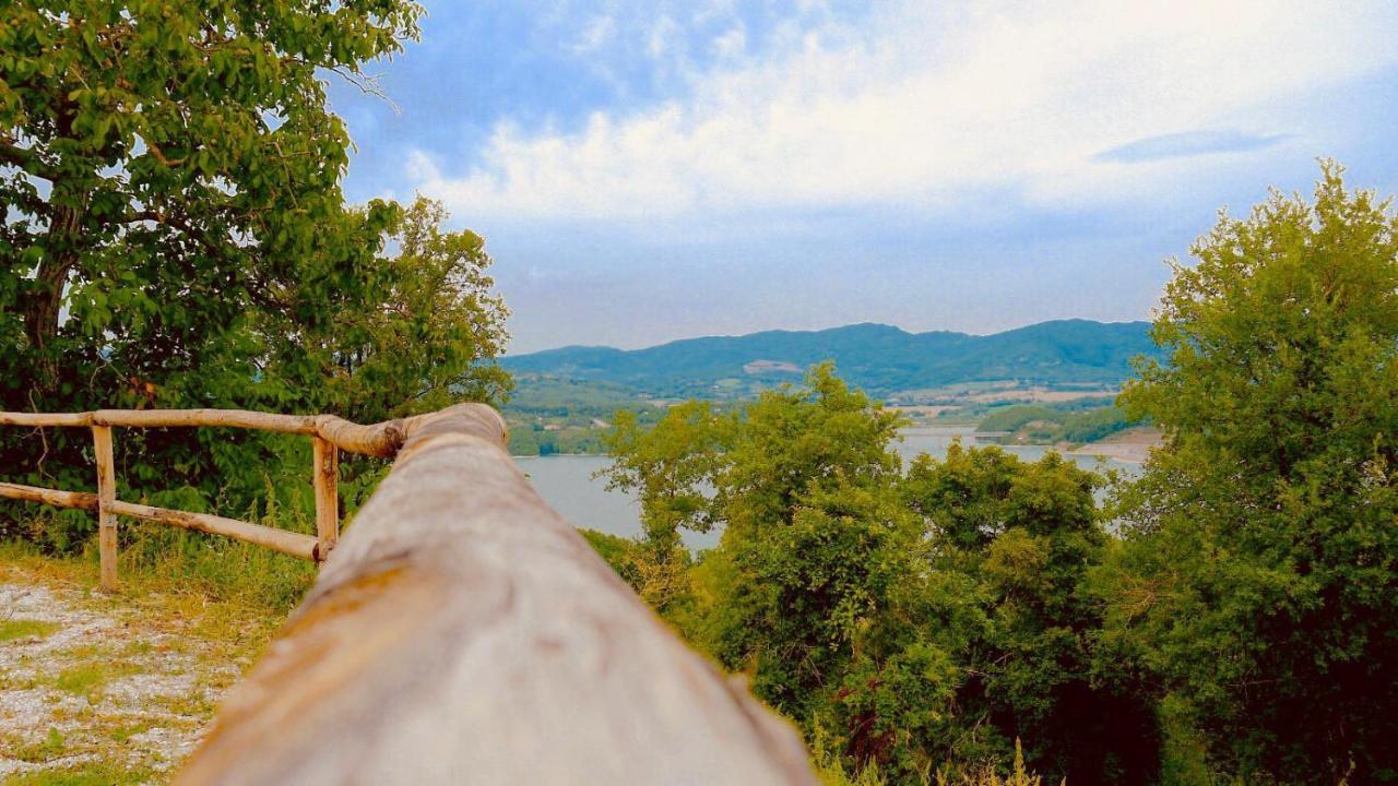 Podere Il Sasso 바르베리노 디 무겔로 외부 사진